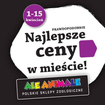 Prawdopodobnie Najlepsze Ceny w Mieście